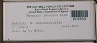 Image Associated With the Occurence